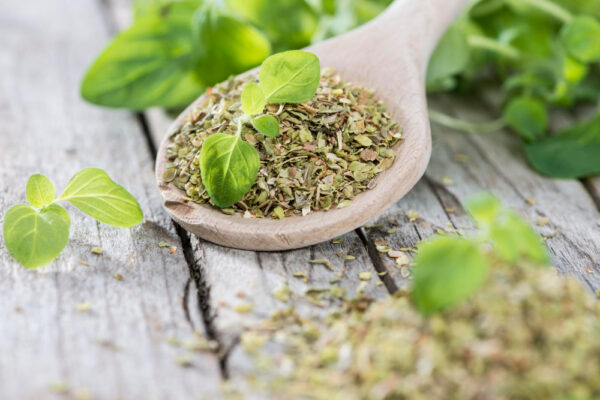 Oregano