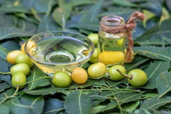 Neem