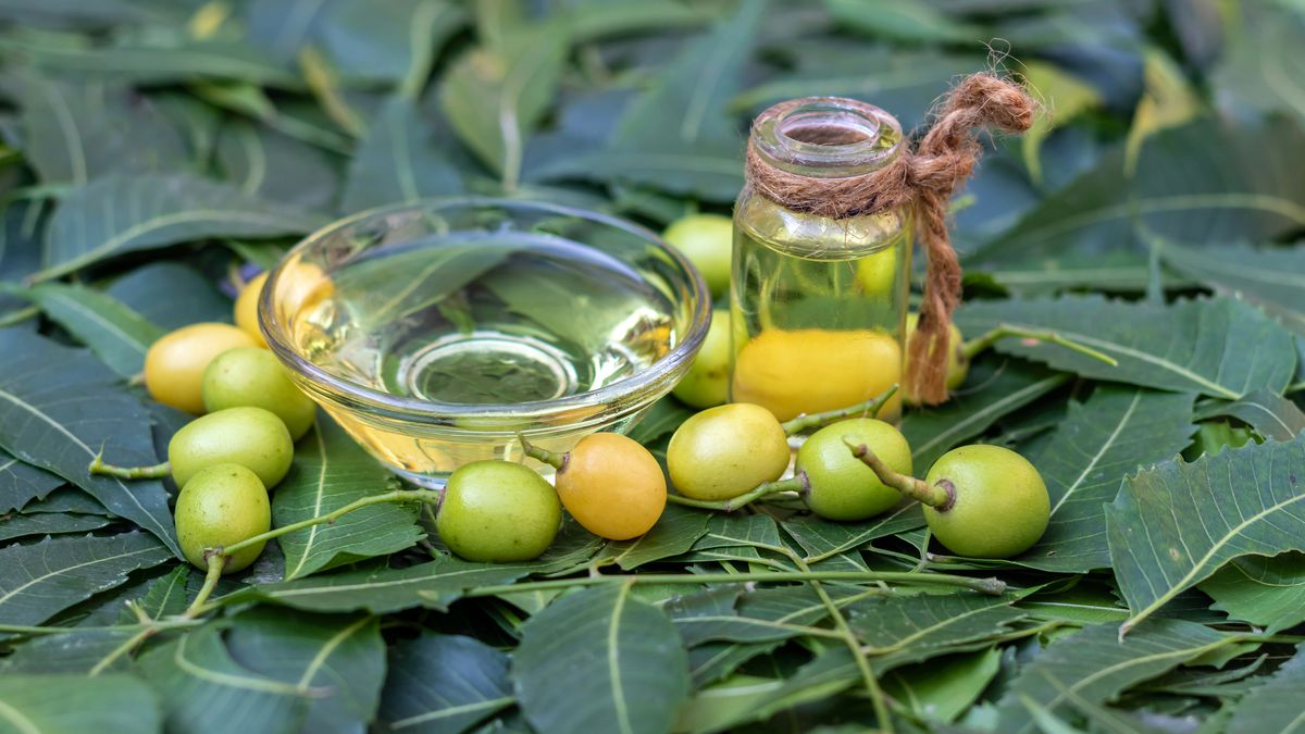 Neem