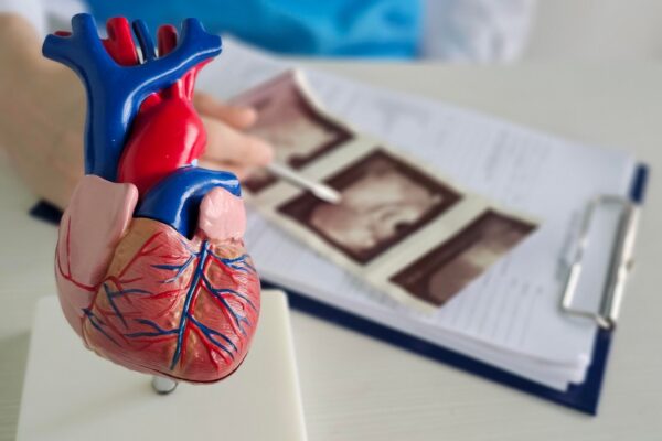 Fracția de ejecție: ce înseamnă procentul de pe ecografia cardiacă