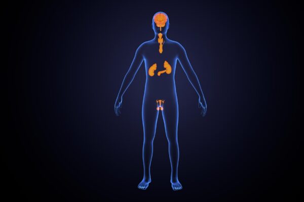 Hiperparatiroidism: ce legătură există între PTH și calciu